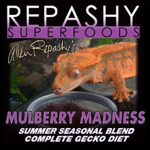 Load image into Gallery viewer, Mulberry Madness
